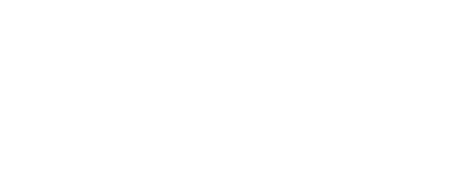 Wellness Transport Services